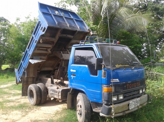 ขายดั้มไดน่า ขายดั้มไดน่า