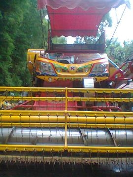 ขายด่วน! จ้าวช้างไวไฟ(ยังมีปี 49,50,52,อีก5คัน)ด่วนนะคร๊าบ...