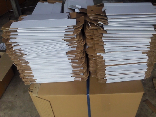 ด่วนกล่องกระดาษลูกฟูกสีขาวของใหม่ กล่องละ2 บาท ขนาด 20*10*5 ซม.(เหลือ400 ชิ้น)