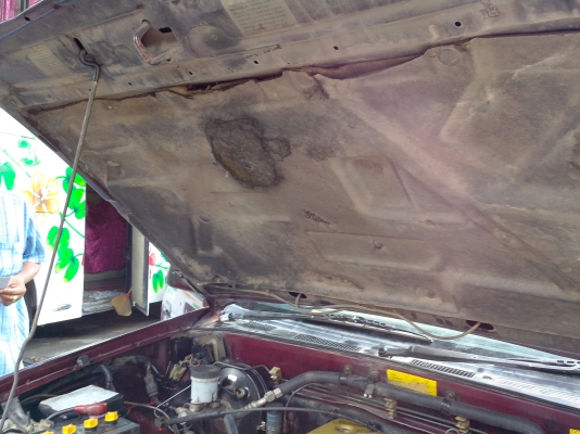 ขายด่วนดาก้อนหัวเดียวปี98