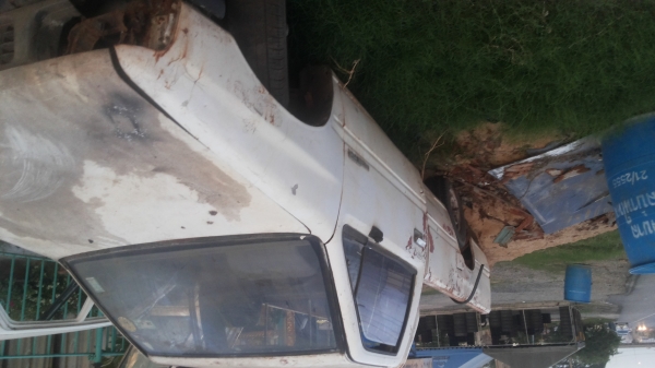 ซากมังกรตอนเดียว ซากมังกรตอนเดียว