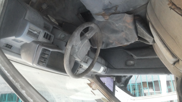 ซากมังกรตอนเดียว ซากมังกรตอนเดียว