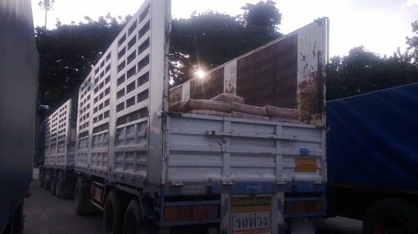 ขายรถพ่วง 24 ล้อ 2 เพลา แม่-ลูก กระบะเหล็กคอกเกษตรไม่ดั้ม จัดแน้นได้ HINO PROFIA P11C 325 แรง คอมมอลเร็ว ปี.54 รถสวย ประหยัดน้ำมันสุดๆ