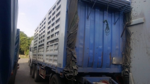 ขายรถพ่วง 24 ล้อ 2 เพลา แม่-ลูก กระบะเหล็กคอกเกษตรไม่ดั้ม จัดแน้นได้ HINO PROFIA P11C 325 แรง คอมมอลเร็ว ปี.54 รถสวย ประหยัดน้ำมันสุดๆ