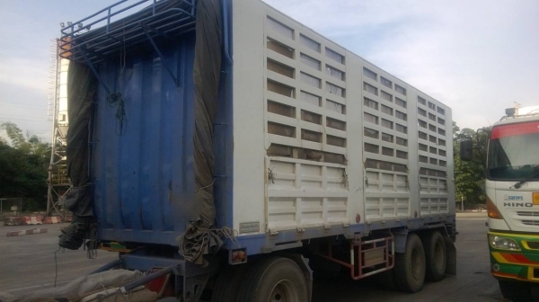 ขายรถพ่วง 24 ล้อ 2 เพลา แม่-ลูก กระบะเหล็กคอกเกษตรไม่ดั้ม จัดแน้นได้ HINO PROFIA P11C 325 แรง คอมมอลเร็ว ปี.54 รถสวย ประหยัดน้ำมันสุดๆ