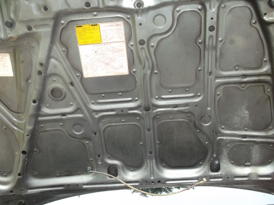 ขาย ตามสภาพฮอนด้าซีวีคปี 92 ท้ายแดง ขาย ตามสภาพฮอนด้าซีวีคปี 92 ท้ายแดง