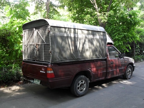 ขายกระบะ หัวเดียว ดราก้อน 2.5