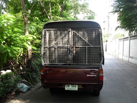 ขายกระบะ หัวเดียว ดราก้อน 2.5