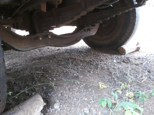 ขาย10ล้อหัวยาวเพลาเดียวดั๊มเกษตร ISUZU TX วางเครื่องEH700 168HP(ลงเล่ม) เครื่องดี แรงดี ติดง่าย ช่วงล่างใหญ่ คานหน้าROCKY เพลาเดียว200 คัสซีพอใช้ ซับในบวม ช่วงท้ายต้องเก็บ บวมเยอะครับ เฟรมกลางมีขาด (ตามรูป)กระบะดั๊มเหล็กคอกเกษตรสภาพดี พื้นพอใช้ ข้างสวยไม่