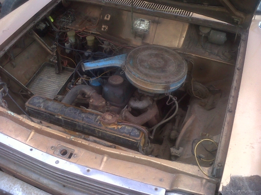 521 มาแล้ว 521 มาแล้ว