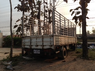 ขายดาวน์หกล้อ hino ด่วน 10,000บาท