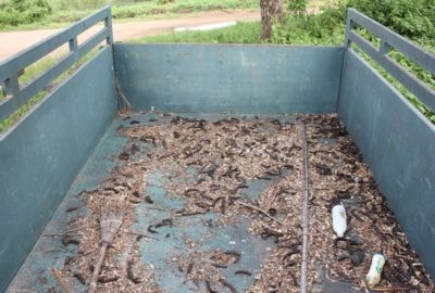 ขายกะบะรถ