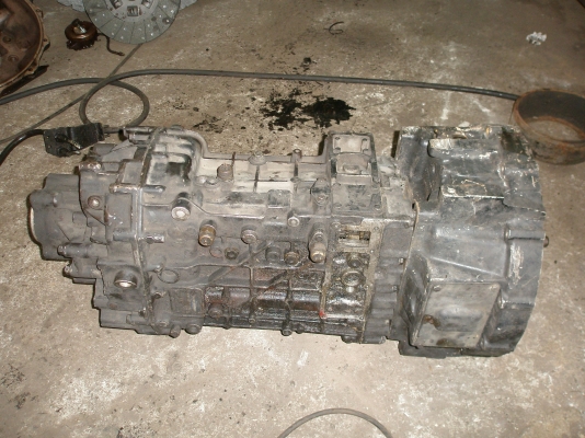 ขายซากเกีย