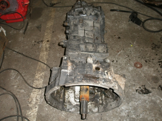 ขายซากเกีย