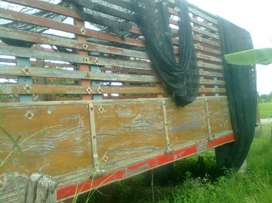 ขายกระบะไม้ ไม้มะค่า อย่างดีถอดออกจากสิบล้อ ร็อคกี้ครับ