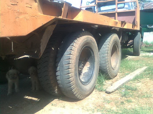 ขาย PC 200รุ่น5 รถคอนโทรนยาวบ้านสวยๆๆพร้อมเทนเล่อ