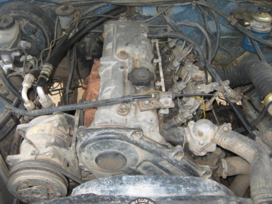 ขายถูกม้ากระโดดโทร 087-851-5148