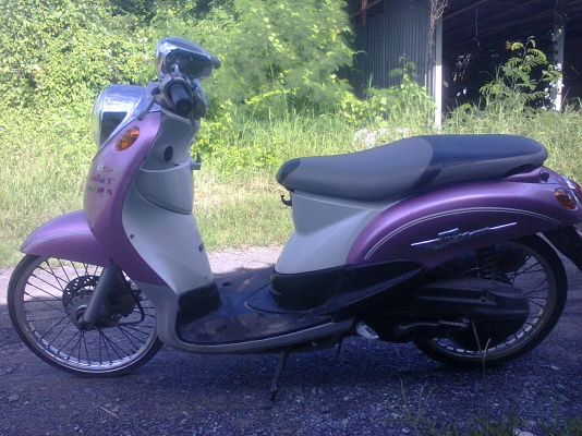 ฟีโน่ 51 หัวเงา คลาสสิค แท้ เครื่องเดิมเดิมสวยสวย