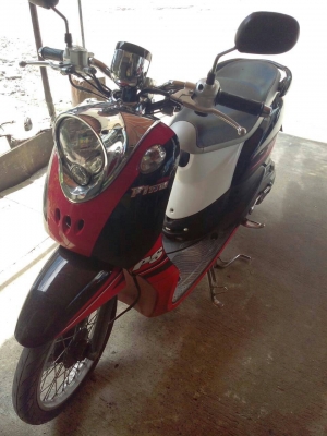 ขายด่วนฟีโนปี 54รถบ้านแท้ ไมร็แยก รถเดิมๆ