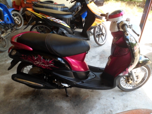 ฟีโน่ ปี53