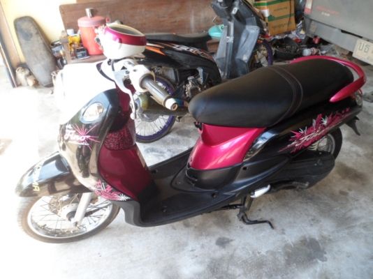 ฟีโน่ ปี53