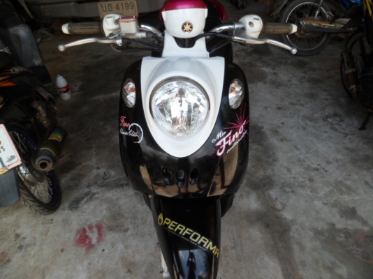 ฟีโน่ ปี53