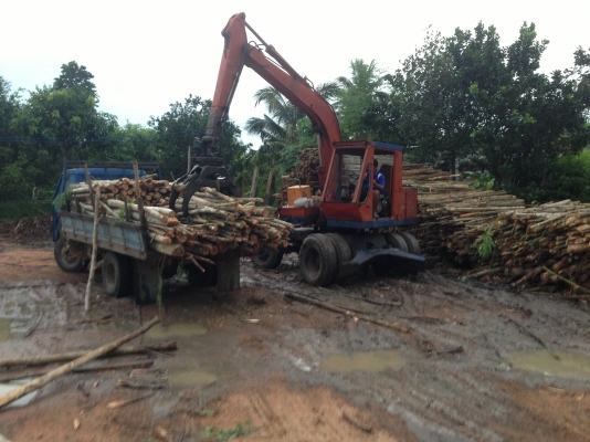 รถแบคโฮล้อยาง KOMATSU PW 60-1 มีภาพวีดีโอ ติดหัวคีบ สภาพพร้อมใช้งาน ติดหัวคีบ บูมอาร์มดี เอวแน่น ยางดี เอกสารใบอินวอยซ์ ราคาต่อรองใด้ สนใจติดต่อ  081-9972972  089-8451778