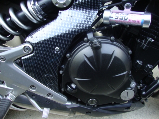 ขาย ER6n  abs   ปี 2012 (สีขาว) วิ่ง 8000 กก