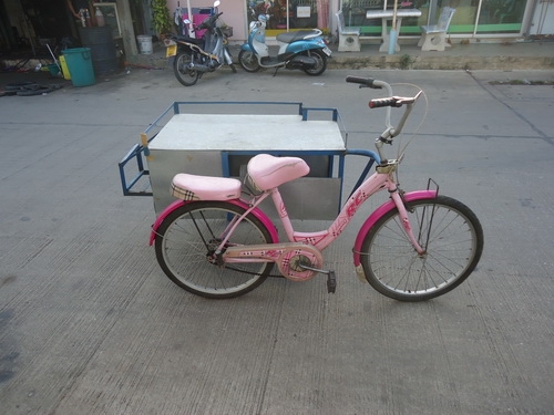 จักรยานพ่วงข้าง
