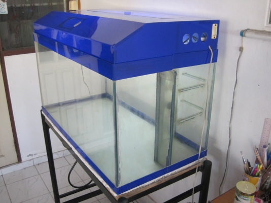 ขายตู้ปลา36นิ้วพร้อมใช้2000บาทลดเหลือ1800ด่วน