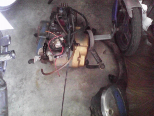 ขายโคลงชิบปี้ 1200 ตามรูป ขายโคลงชิบปี้ 1200 ตามรูป