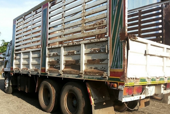 MITSUBISHI FUSO FN527 TURBO - 220 HP 6D16 TF0273 สิบล้อ 2 เพลา กระบะเหล็กคอกสูงเกษตรไม่ดั๊มพ์สภาพสวย เครื่องแน่นแรงดี หัวเก๋งสีสันบางเดิมๆภายในเก๋งคอนโซลสวยครบ หัวยกไฟฟ้า แอร์ พวงมาลัยเพาเวอร์ ระบบเบรคทริ๊ปฟี้ ช่วงล่างคัชซีสวยเบรคใหญ่แล้ว ยางสภาพดี 70\% พร MITSUBISHI FUSO FN527 TURBO - 220 HP 6D16 TF0273 สิบล้อ 2 เพลา กระบะเหล็กคอกสูงเกษตรไม่ดั๊มพ์สภาพสวย เครื่องแน่นแรงดี หัวเก๋งสีสันบางเดิมๆภายในเก๋งคอนโซลสวยครบ หัวยกไฟฟ้า แอร์ พวงมาลัยเพาเวอร์ ระบบเบรคทริ๊ปฟี้ ช่วงล่างคัชซีสวยเบรคใหญ่แล้ว ยางสภาพดี 70\% พร