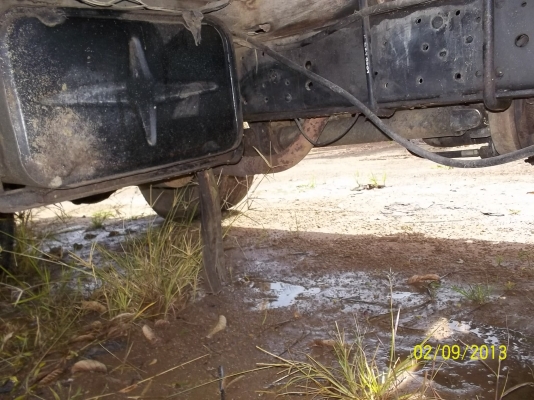 ขายNPR ติดเฮียบ  2.5ต้น