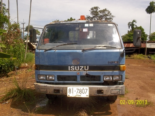 ขายNPR ติดเฮียบ  2.5ต้น