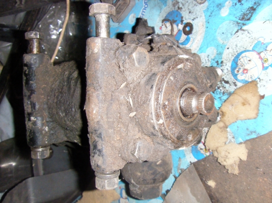 ขายแล้วครับเสี่ยพนัสเสี่ยใหญ่จากร้อยเอ็ดซื้อแล้วครับขอบคุณครับ(รอรับของประมาณ7วันครับ)