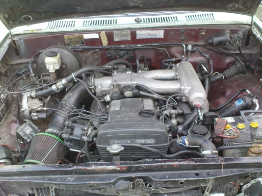 ขาย ไมตี้x 50000