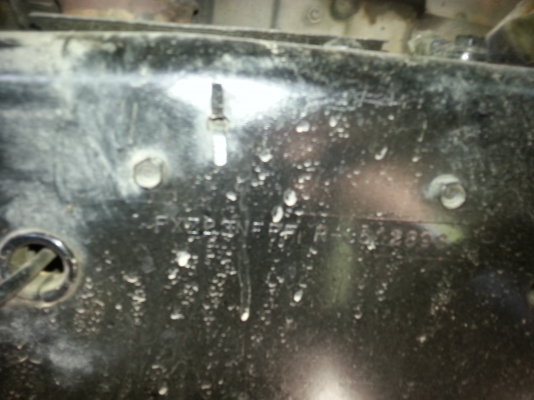 ขายนางฟ้าแท้ พร้อมแท็งน้ำยาง