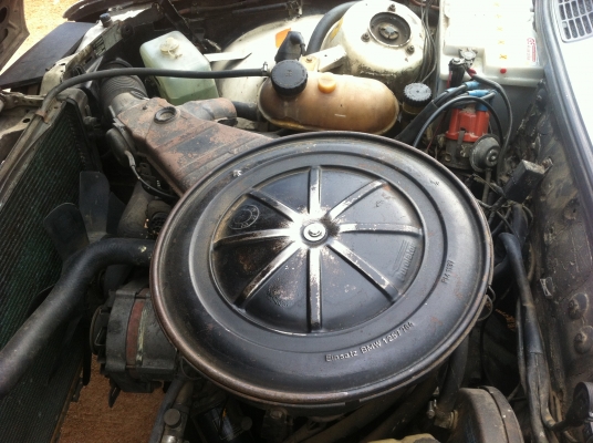 BMW 316i สีขาว