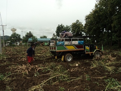 ขอบคุณ truck2hand ครับขายแล้ว ขอบคุณ truck2hand ครับขายแล้ว