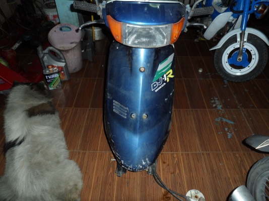 ขายซากป๊อบDJ1