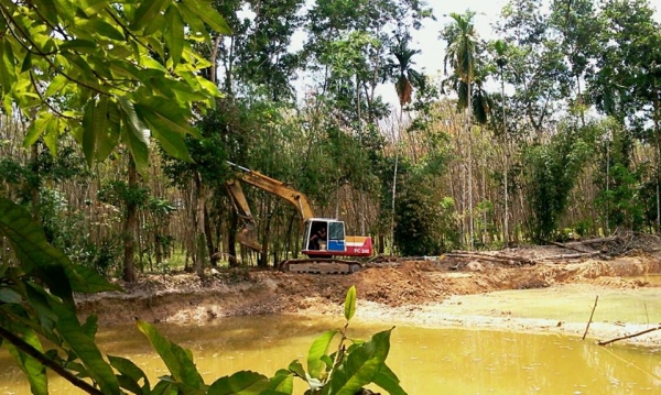 ขาย รถขุด แบคโฮ KOMATSU: PC 200-5 เครื่องแรงดี พร้อมใช้งาน