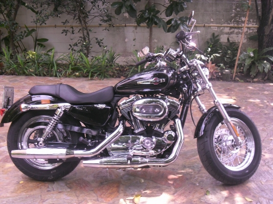 harley davidson sportster xl 1200c สค.2013