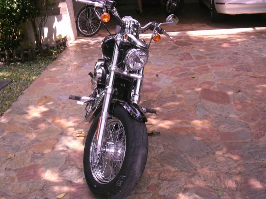 harley davidson sportster xl 1200c สค.2013