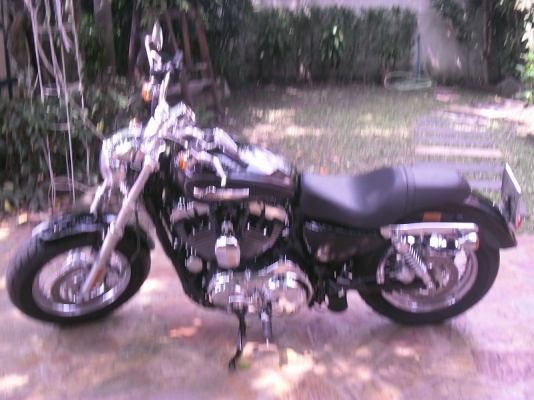 harley davidson sportster xl 1200c สค.2013