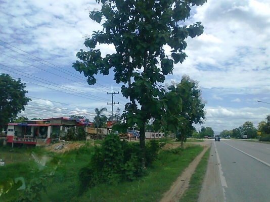 ขายที่ดิน 10 ไร่ ทำเลสวย ติดถนนซุปเปอร์ไฮเวย์ เชียงใหม่-ลำปาง รูปสี่เหลี่ยมผืนผ้า ทำเลดี.มีโฉนดพร้อมโอน.