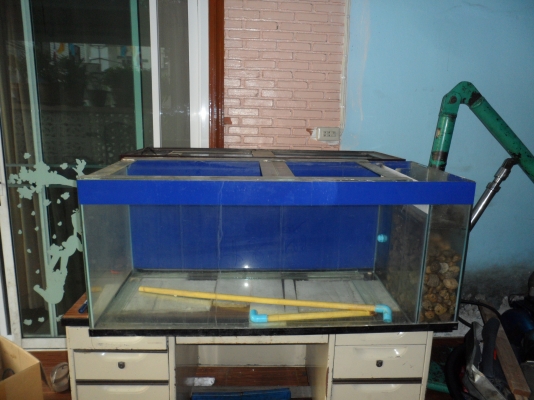 ตู้ปลา2ใบ ตู้ปลา2ใบ