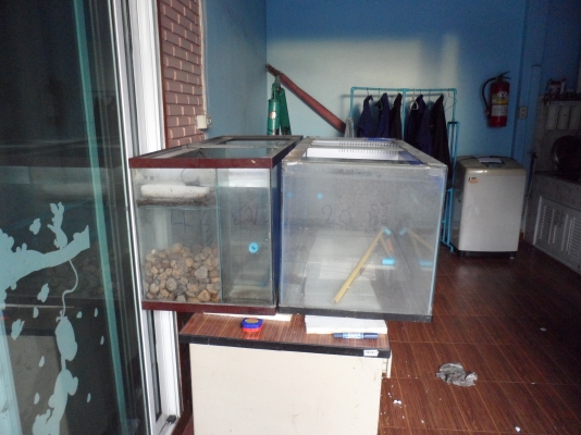 ตู้ปลา2ใบ ตู้ปลา2ใบ