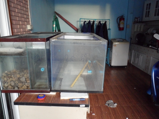 ตู้ปลา2ใบ