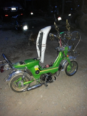 ขาย ชาลีแนวยุ่น เครื่องเวฟ 110 สภาพสวย