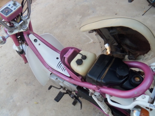 ขายชิปปี้เดิมๆถูกๆรวมส่ง12900=ต่อรองได้ ขายชิปปี้เดิมๆถูกๆรวมส่ง12900=ต่อรองได้